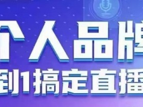 个人品牌:从0到1搞定直播实操,用直播为你的个人品牌赋能,六大实操板块,放大个人影响力