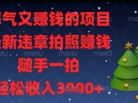 解气又挣钱的项目,最新违章拍照挣钱,随手一拍,轻松收入多张【揭秘】