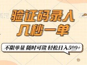 验证码录入,几秒钟一单,只需一部手机即可开始,随时随地可做,每天5张+【揭秘】