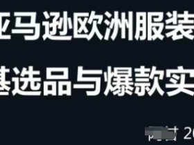 跨境电商选品案例24-25年,聚焦跨境电商选品策略与运营优化,助力卖家挖掘蓝海市场