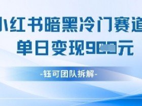 小红书冷门”暗黑”赛道,单日收益多张