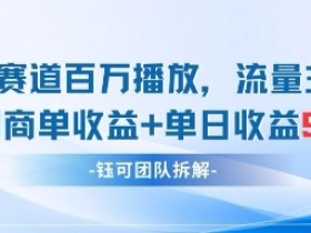 中老年赛道百万播放+流量主收益+定制收益,单日收益9张