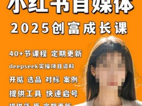 小红书电商自媒体创富课2.0版,实战打卡笔记训练营