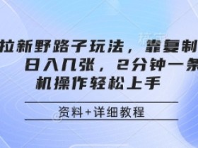 网盘拉新野路子玩法,靠复制搬运图文, 日入几张,2分钟一条,手机操作轻松上手