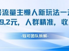 视频号流量主懒人新玩法,一天收益1k,人群精准收益高
