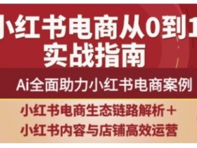 2025小红书电商全链路运营,Ai全面助力小红书电商案例