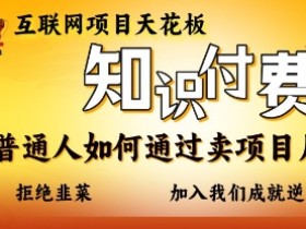 互联网项目天花板,知付付费项目,普通人如何通过卖项目月入十个,拒绝韭菜【揭秘】