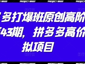 拼多多打爆班原创高阶技术第43期,拼多多高价虚拟项目