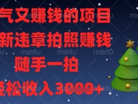 解气又挣钱的项目,最新违章拍照挣钱,随手一拍,轻松收入数张【揭秘】