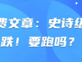 付费文章:史诗级暴跌!要跑吗?