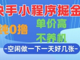 快手小程序掘金,纯0撸,单价高不养机 利用空闲时间做一做,一天好几张【揭秘】