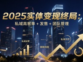 2025实体变现终局:私域高客单+发售+团队管理