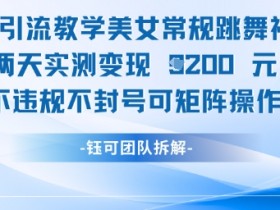 男粉引流教学美女常规跳舞视频两天实测变现1k+,不违规不封号可矩阵操作