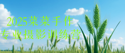 摄影剪辑2025菜菜手作专业摄影训练营