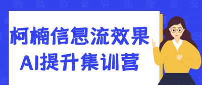 长点知识柯楠信息流效果AI提升集训营