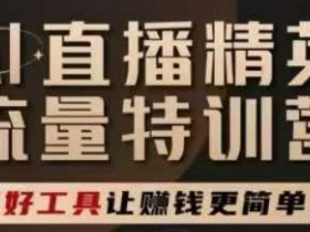 AI直播精英官方特训营,直播底层逻辑和ai实操技巧,用好工具让挣米更简单