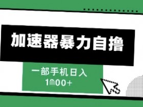 205新风口,加速器暴力自撸,单机日入1k+【揭秘】