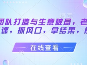 流量团队打造与生意破局,老板流量必修课,抓风口,拿结果,能落地