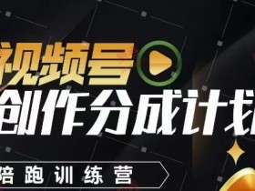 视频号创作分成计划陪跑训练营,手把手教会你如何制作视频,细水长流型项目