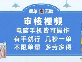审核视频,电脑手机皆可操作,有手就行,几秒一单,不限单量,多劳多得【揭秘】