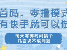 首码,零撸模式,有快手就可以做,每天零碎时间搞个几张不成问题【揭秘】