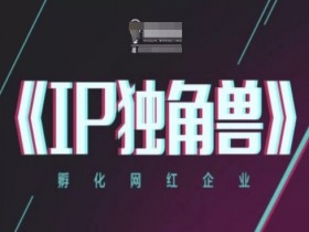 IP独角兽,孵化网红企业,ip教程