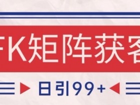 小红书某音FK赛道引流获客 自热矩阵日引200+【揭秘】