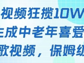 一个视频狂揽10W+点赞,AI生成中老年喜爱的鹦鹉唱歌视频,保姆级教程,轻松挣取创作者分成