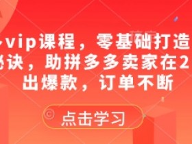拼多多vip课程,零基础打造店铺的核心秘诀,助拼多多卖家在2025卖出爆款,订单不断