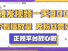 转发视频一天3张+,正规平台放心做,不看播放量,不看粉丝量,一个任务几分钟完成【揭秘】
