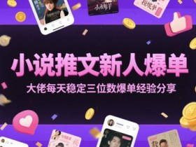 小说推文新人爆单大佬每天稳定三位数爆单经验分享