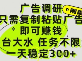 广告调研项目,只需复制粘贴广告即可挣钱,平台大水,任务不限量,一天3张【揭秘】