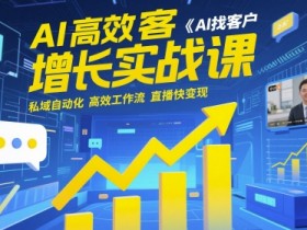 AI高效获客增长实战课,AI找客户 私域自动化 高效工作流 直播快变现