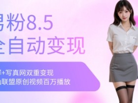 全网独家男粉8.5运营课程,进群+写真+网盘,稳定日入 5张