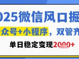 2025微信风口掘金,公众号+小程序双管齐下,单日稳定变现1k+【揭秘】