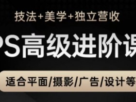 PS高级后期进阶课(技法+美学+独立营收),适合平面摄影广告设计等