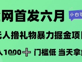 全网首发六月,无人撸礼物暴力掘金项目,日入1K+门槛低,当天拿结果,小白可玩【揭秘】