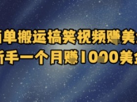 简单搬运搞笑视频挣美金,新手一个月入1k美金