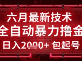 六月最新技术全自动暴力撸金,稳定日入2k+包起号,长期稳定【揭秘】