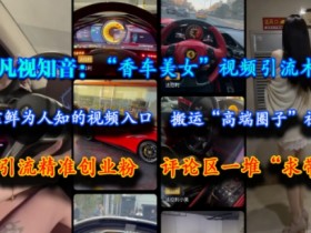 凡视知音:“香车美女”视频引流术,依靠鲜为人知的视频入口,搬运“高端圈子”视频,引流精准创业粉,评论区一堆“求带”
