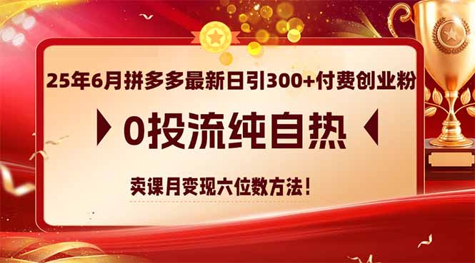 (14989期)25年6月拼多多最新日引300 付钱自主创业粉,0投流纯自然 购买课程月转现六位数方式