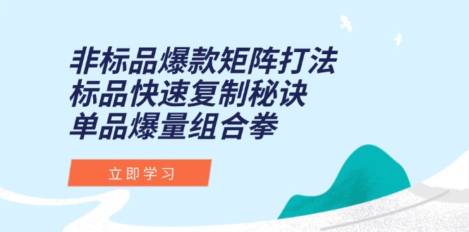 (15068期)非标品爆款矩阵打法,标品快速复制秘诀,单品爆量组合拳