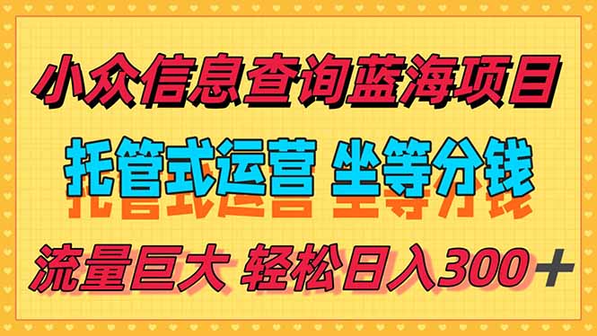 (15216期)稳定日入300+,小众信息查询蓝海项目,全程懒人式托管,解放你的时间