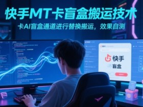 快手MT卡盲盒搬运技术,卡AI盲盒通道进行替换搬运,效果自测