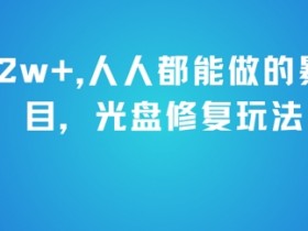 月入2w+,人人都能做的暴利项目,光盘修复玩法