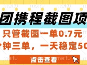 美团携程截图项目,只管截图一单0.7元,一分钟三单,一天稳定5张+【揭秘】