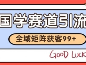 国学赛道精准拓客,自热矩阵日引99+ 获客SOP【揭秘】