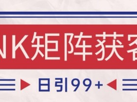小红书某音NK赛道引流获客 自热矩阵日引200+【揭秘】