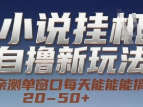 小说自撸新玩法 — 亲测单窗口每天能搞 20-50+,支持矩阵化批量操作【揭秘】