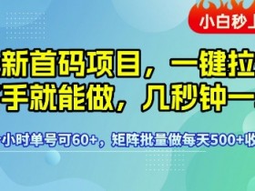 最新首码项目,一键拉新有手就能做,几秒钟一单,1个小时单号可60+,矩阵批量做每天5张【揭秘】